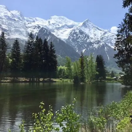 Chamois Blanc Chamonix