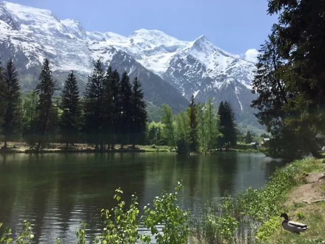 Chamois Blanc Chamonix