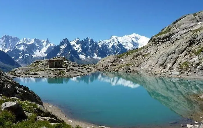 Chamois Blanc Chamonix